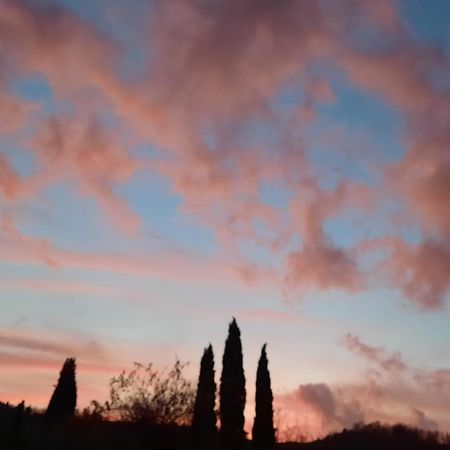 Al Piccolo Ulivo, A Casa Di Mimo&Se Villa Castiglione dʼOrcia Eksteriør billede
