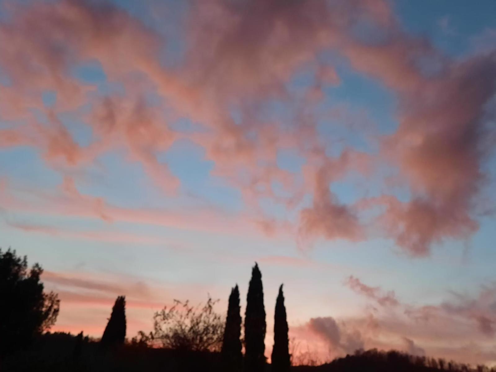 Al Piccolo Ulivo, A Casa Di Mimo&Se Villa Castiglione dʼOrcia Eksteriør billede