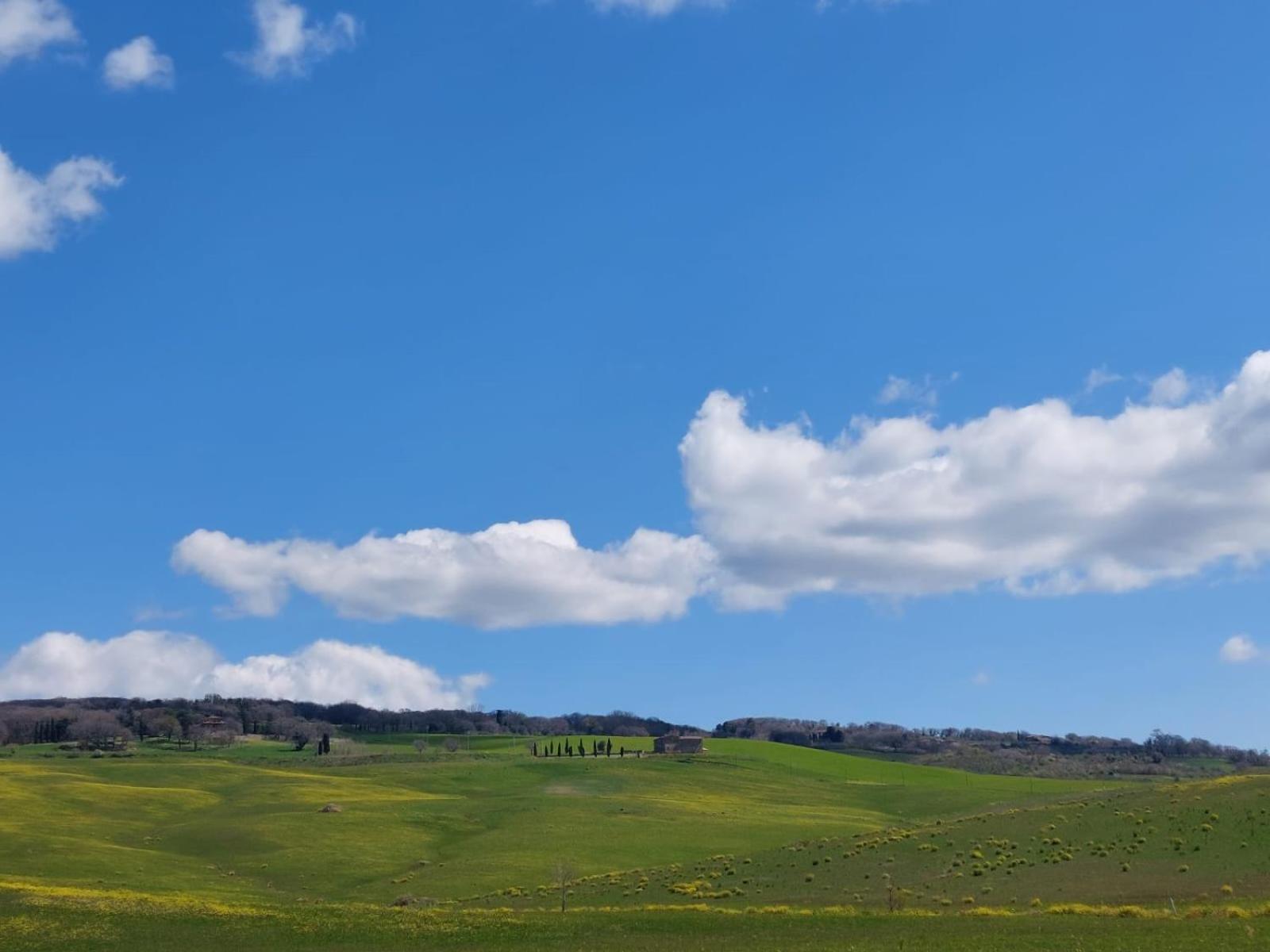 Al Piccolo Ulivo, A Casa Di Mimo&Se Villa Castiglione dʼOrcia Eksteriør billede