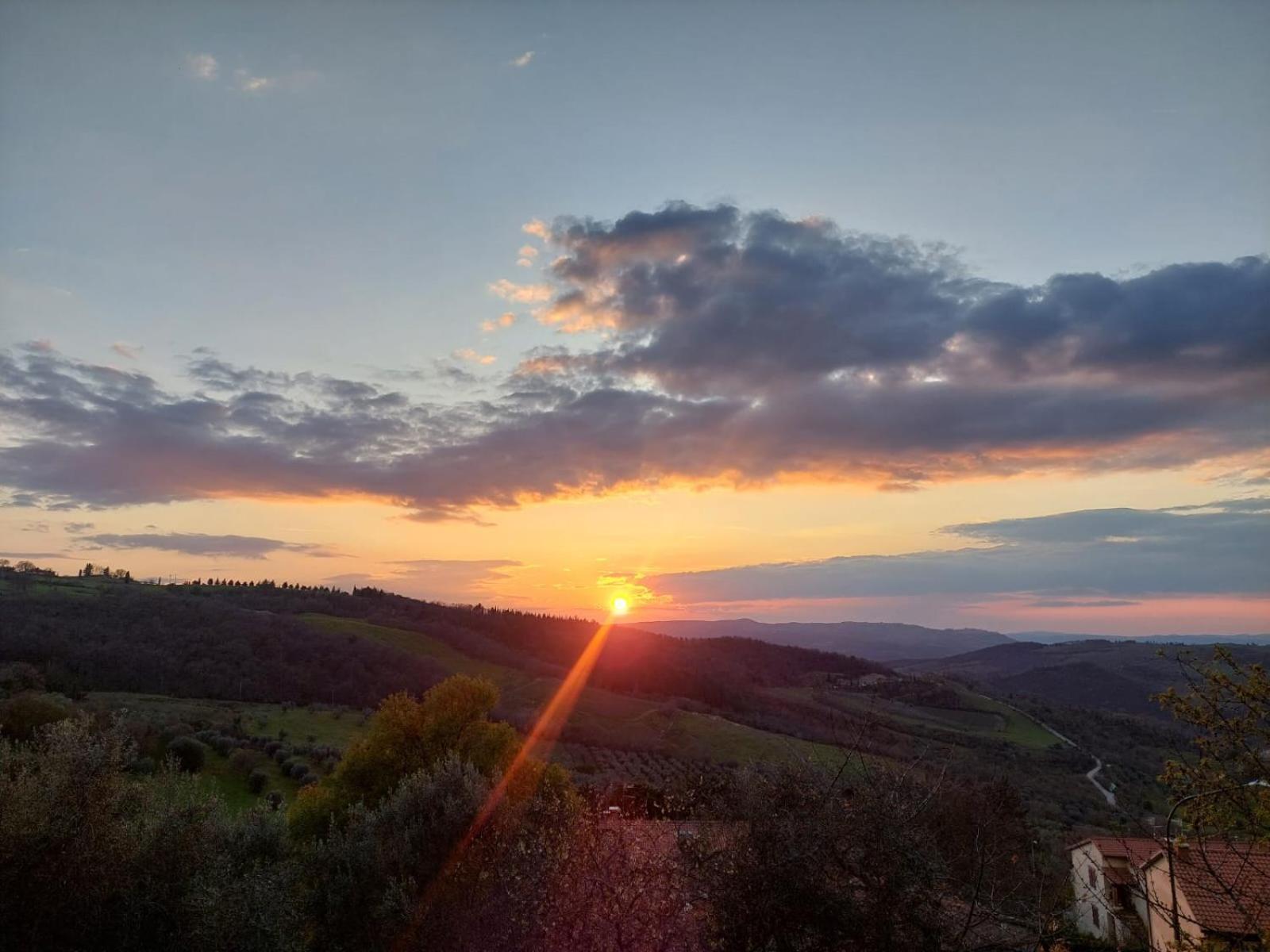 Al Piccolo Ulivo, A Casa Di Mimo&Se Villa Castiglione dʼOrcia Eksteriør billede