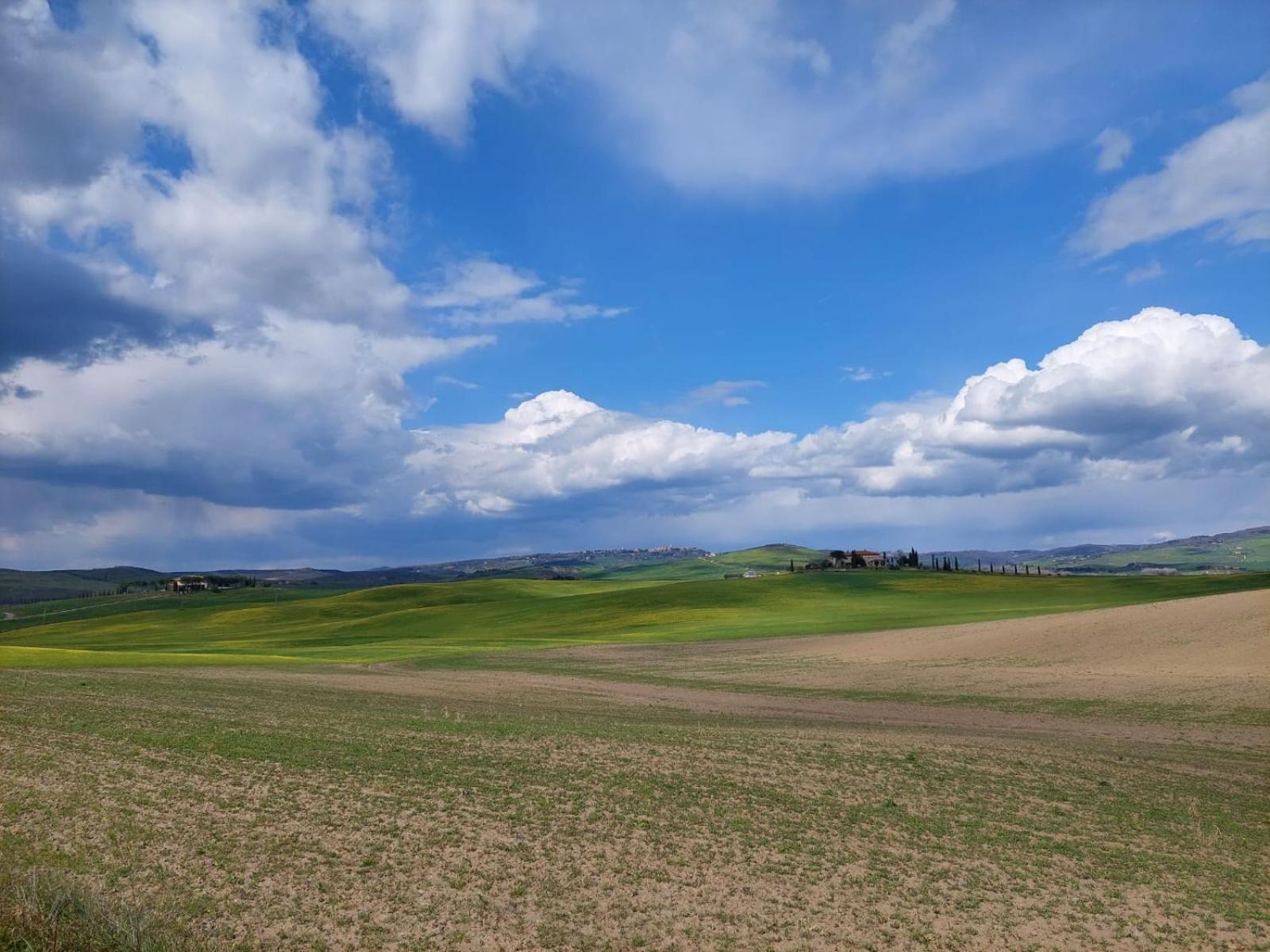 Al Piccolo Ulivo, A Casa Di Mimo&Se Villa Castiglione dʼOrcia Eksteriør billede