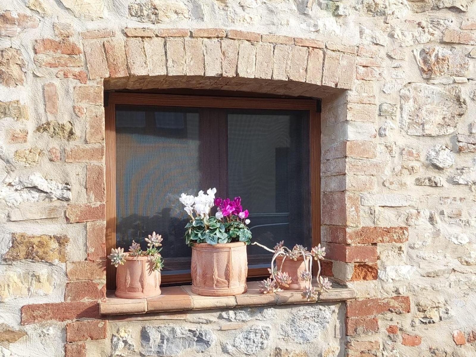 Al Piccolo Ulivo, A Casa Di Mimo&Se Villa Castiglione dʼOrcia Eksteriør billede