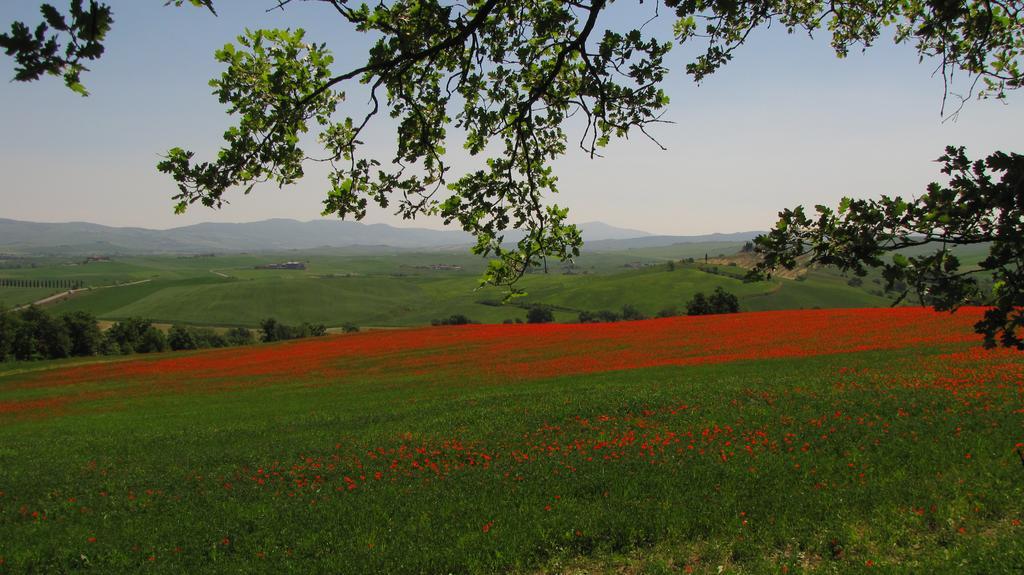 Al Piccolo Ulivo, A Casa Di Mimo&Se Villa Castiglione dʼOrcia Eksteriør billede