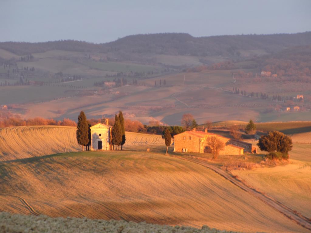 Al Piccolo Ulivo, A Casa Di Mimo&Se Villa Castiglione dʼOrcia Eksteriør billede