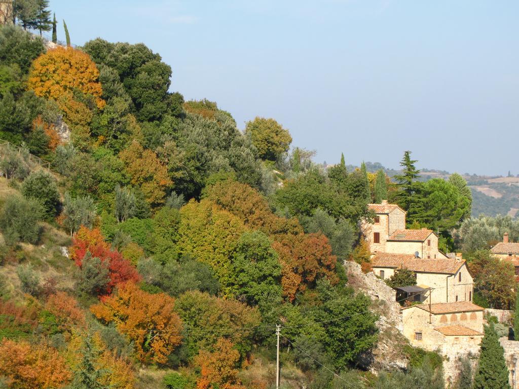 Al Piccolo Ulivo, A Casa Di Mimo&Se Villa Castiglione dʼOrcia Eksteriør billede